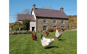 Nantgwynfaen Organic Farm Wales