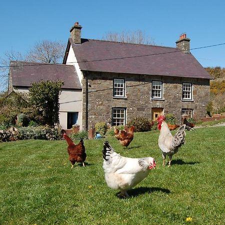 Nantgwynfaen Organic Farm Wales Villa Llandysul Buitenkant foto