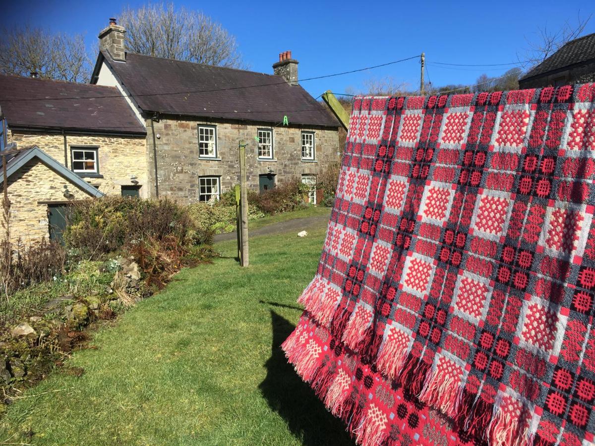 Nantgwynfaen Organic Farm Wales Villa Llandysul Buitenkant foto