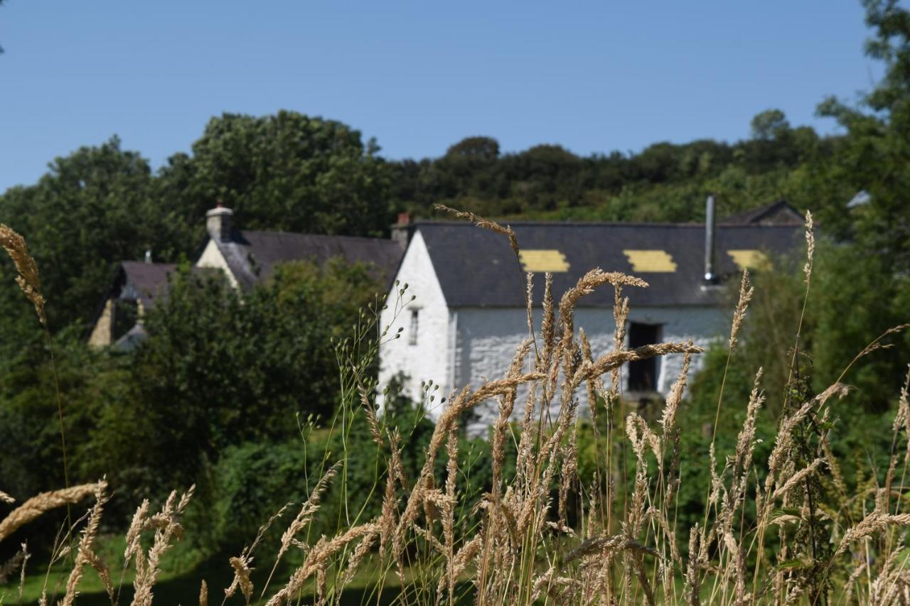 Nantgwynfaen Organic Farm Wales Villa Llandysul Buitenkant foto