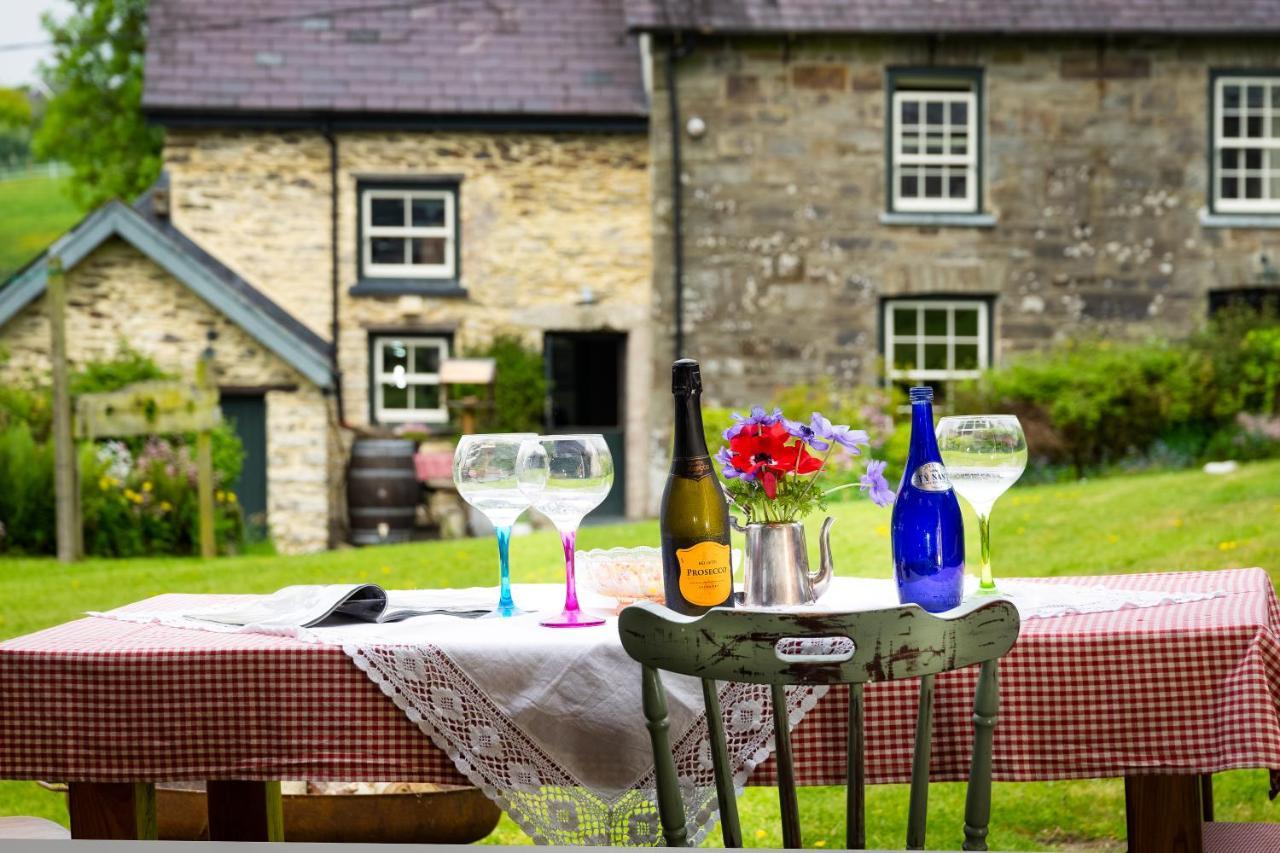 Nantgwynfaen Organic Farm Wales Villa Llandysul Buitenkant foto