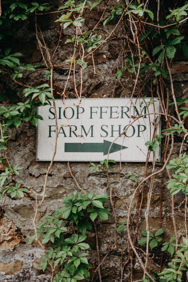 Nantgwynfaen Organic Farm Wales Villa Llandysul Buitenkant foto