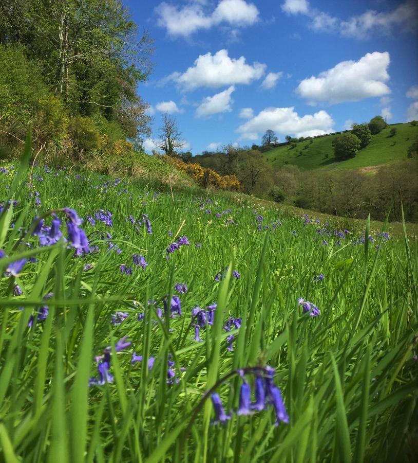 Nantgwynfaen Organic Farm Wales Villa Llandysul Buitenkant foto