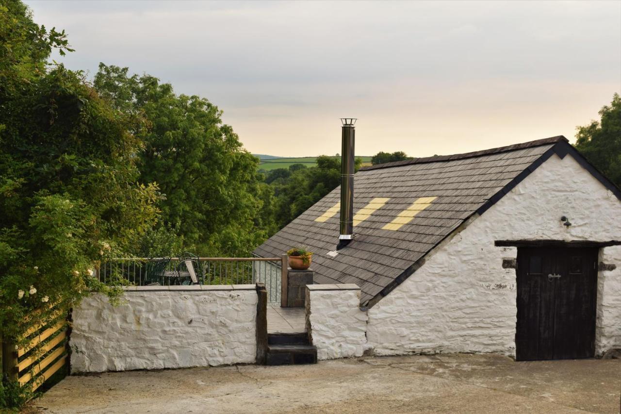 Nantgwynfaen Organic Farm Wales Villa Llandysul Buitenkant foto