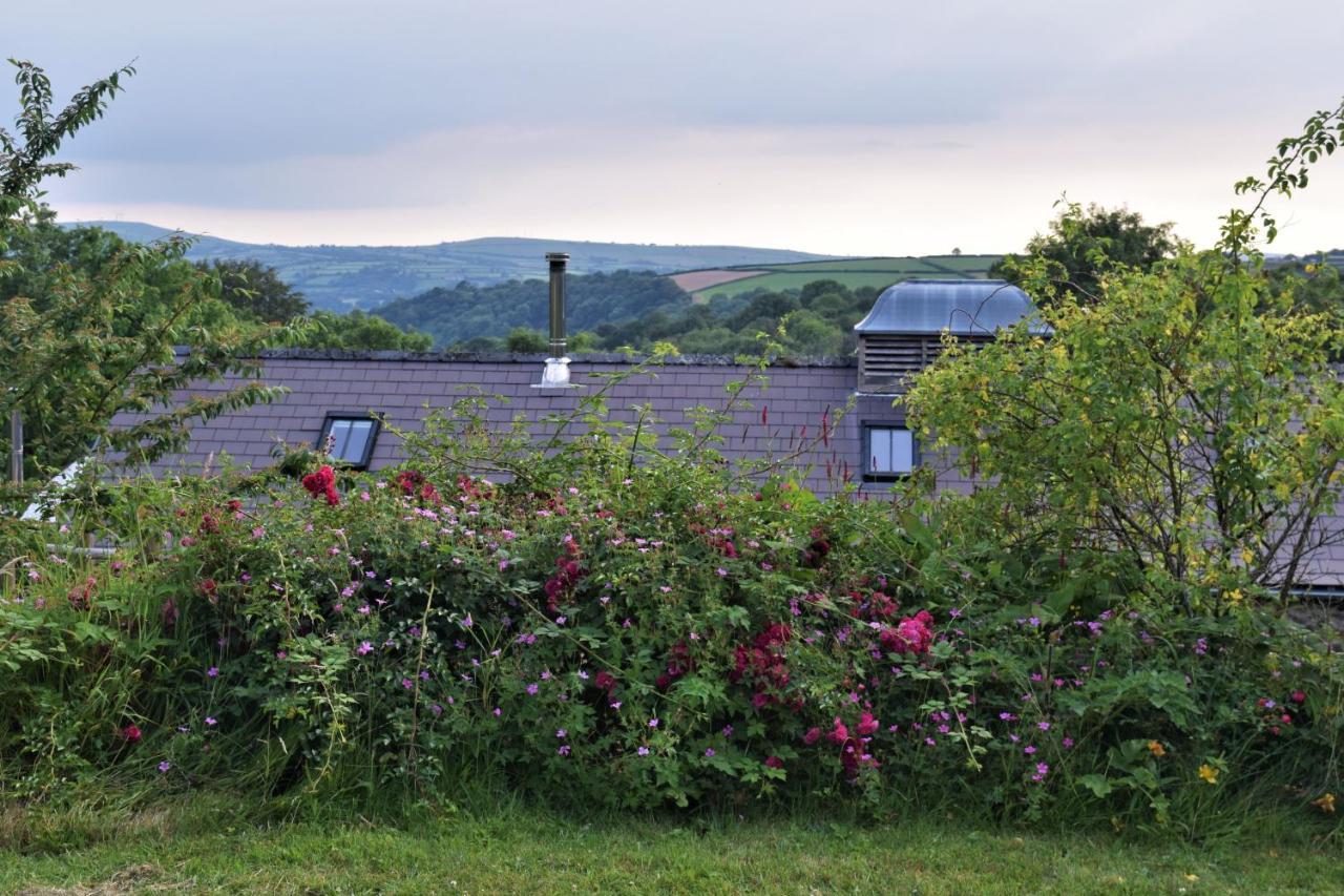 Nantgwynfaen Organic Farm Wales Villa Llandysul Buitenkant foto