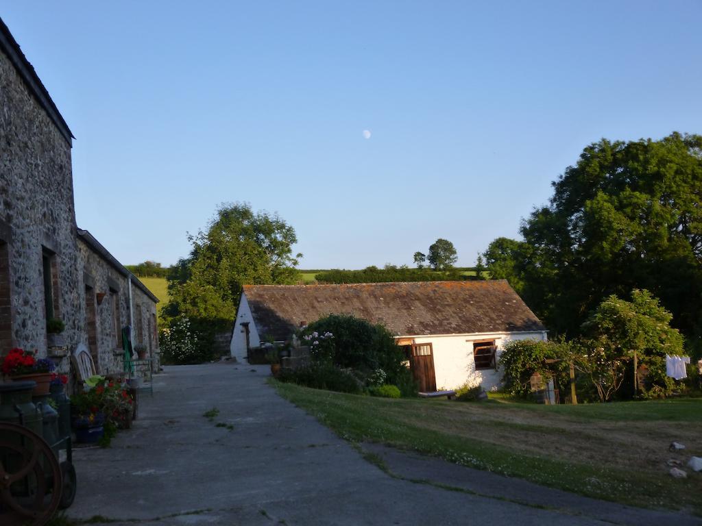 Nantgwynfaen Organic Farm Wales Villa Llandysul Buitenkant foto