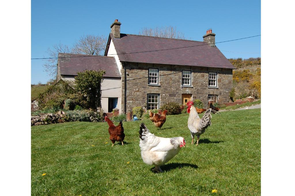 Nantgwynfaen Organic Farm Wales Villa Llandysul Buitenkant foto